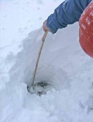 Längre norrut ökade snömängden till ca 40 cm men närmast marken fanns ca 10 cm gammal snö som frusit fast i laven. I områdena norr om Svartsjön och Borren ökade snömängden ytterligare (80-90 cm).