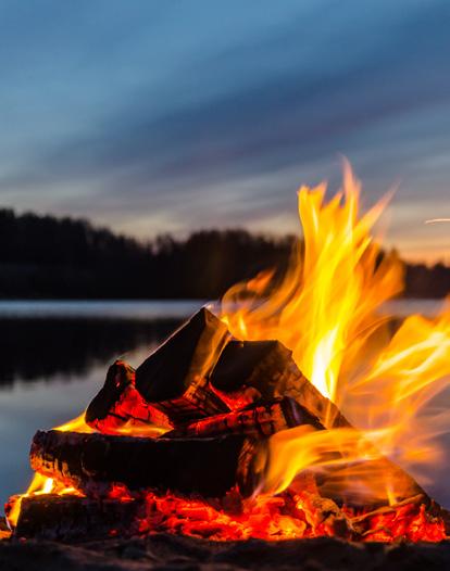 Kusten-brons siluett, landhöjningens