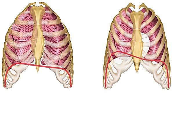 OSOF INTEGRERAD TENTAMEN 2014-06-18 KL.09.00-12.00, 13.00-16.00 7 TEMA 3 Respiration (15 p) Andningen är en av de ur akut synpunkt mest livsviktiga funktionerna i kroppen.