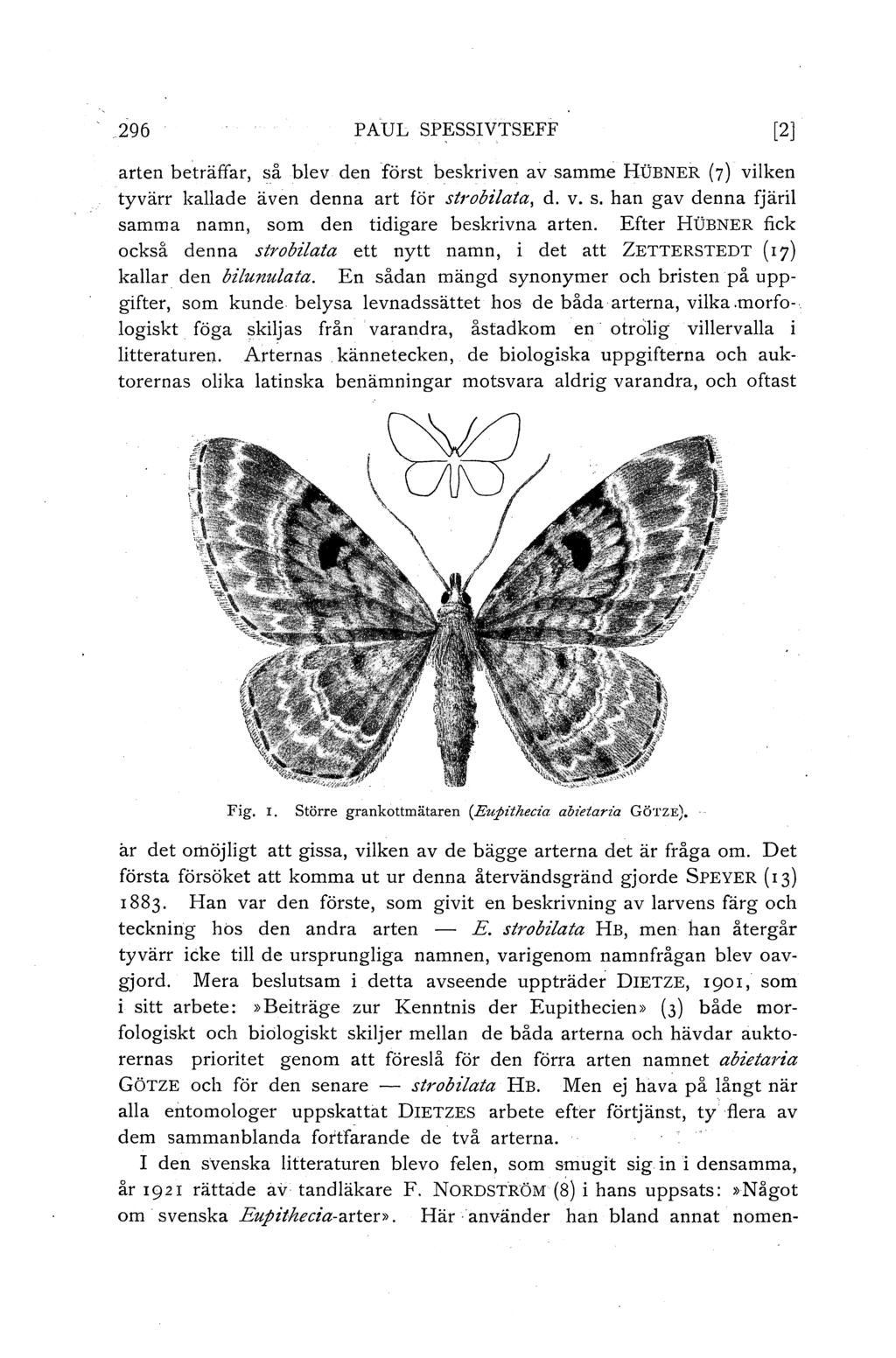 296 PAUL SPESSIVTSEFF [2] arten beträffar, så blev den först beskriven av samme HöBNER (7) vilken tyvärr kallade även denna art för strobilata, d. v. s. han gav denna fjäril samma namn, som den tidigare beskrivna arten.