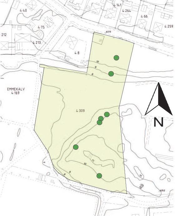 ANTAGANDEHANDLING DETALJPLAN FÖR EMMEKALV 4:309 OCH DEL AV EMMEKALV 4:169 växer några enstaka träd av sälg och björk. Här finns även nyponbuskar, enstaka apel och ung ek.