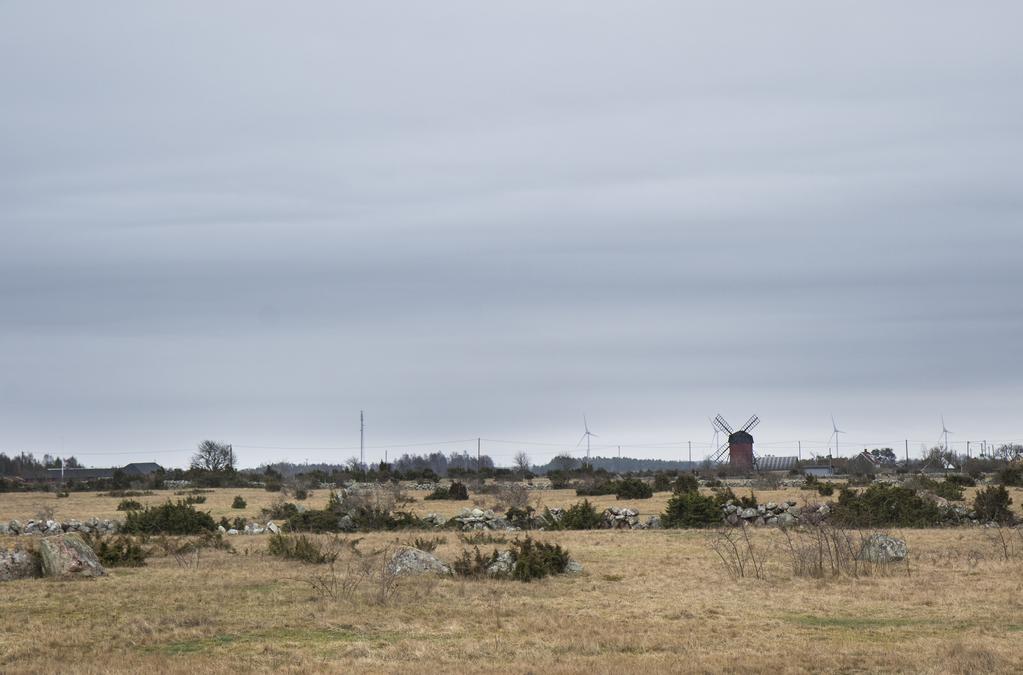 Här pågår byggandet av ett avsaltningsverk, bara några hundra meter från havet. På plats finns sedan tidigare ett reningsverk och bredvid det byggs den nya anläggningen.