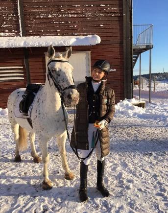 Styrelsen 2016