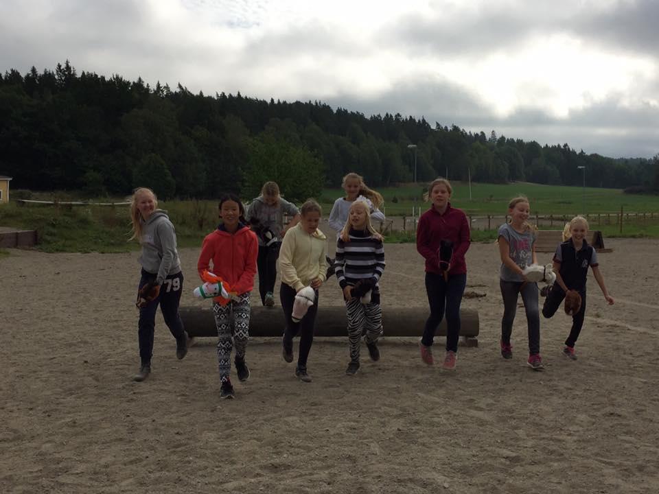 Vad är BRUS BRUS är en förkortning av Botkyrka Ridsällskaps Ungdoms Sektion och till den hör automatiskt alla som är under 26 år.