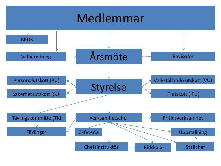 Organisation Vår övergripande organisation framgår av schemat nedan. Medlemmar Under 2016 hade Botkyrka Ridsällskap totalt 693 medlemmar inklusive hedersmedlemmar.