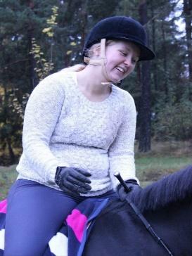Stora styrelsen