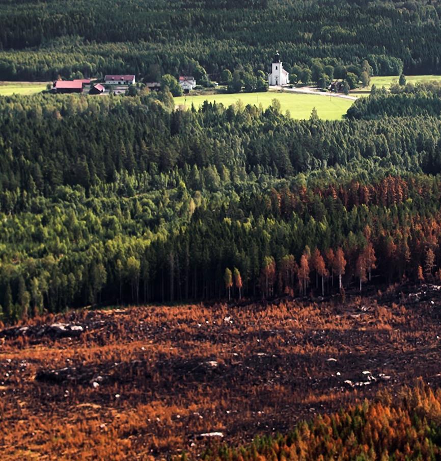 Ansvar, samverkan och handling Åtgärder för stärkt krisberedskap utifrån