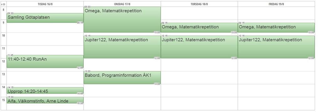 DATAINGENJÖR Schema för