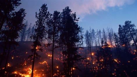 AVESTA IWC MINDES DEN STORA BRANDEN I VÄSTMANLAND Bild från SMHIs weatherpal.se Lars Westerfors gav en tillbakablick på den omfattande branden i Västmanland 2014 sett ur hans perspektiv.