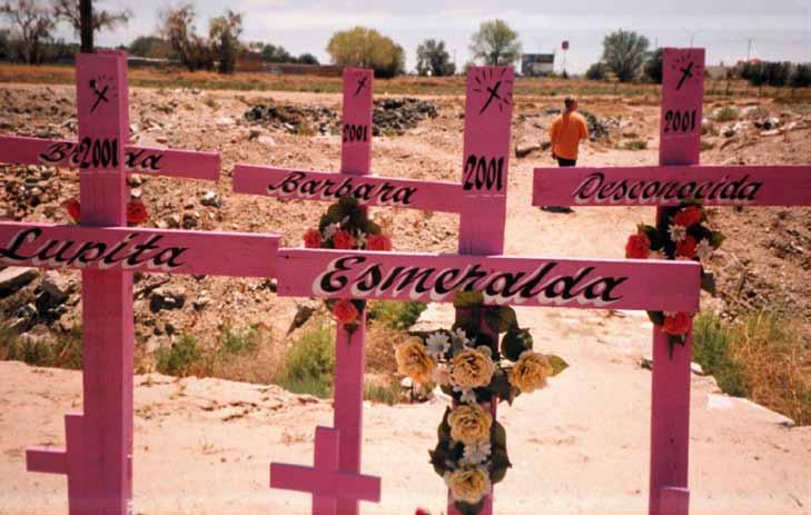 Rosa kors i Mexiko för att påminna om, och protestera mot, det genusbaserade dödliga våldet ofta kallat femicides. Foto: Commodifiedlife.