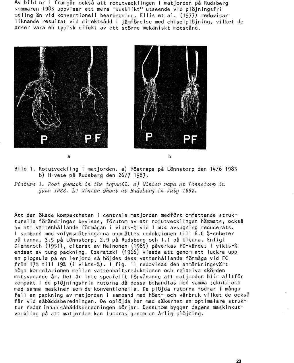 Av bild nr 1 framgår också att rotutvecklingen i matjorden på Rudsberg sommaren 1983 uppvisar ett mera "buskl ikt ll utseende vid plöjningsfri odling än vid konventionell bearbetning. Ellis et al.