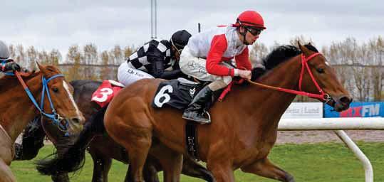 Svenskt Derby Trial Derby Trial har fått ett rejält uppsving som språngbräda mot Derbyt efter att både Duke of Burden och Bokan (0 respektive 0) kommit från just Derby Trial före segrarna i Svenskt