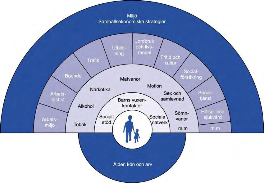 Figur 2. Hälsans bestämningsfaktorer Källa: Whitehead och Dahlgren, 1991. Bilden återgiven med tillstånd från författarna.