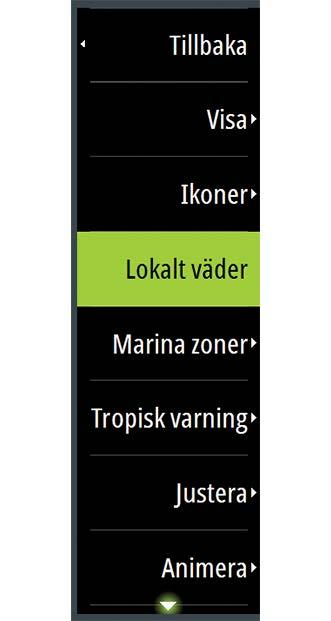 Om du väljer en ikon visas detaljerad väderinformation.