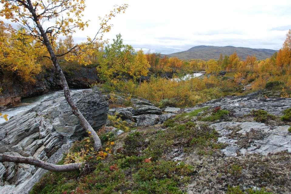 Landskap i samhällsplaneringen?