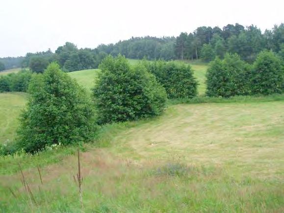 Närområde (1 30 m): Öppen hävdad mark 3, lövskog 2, tomtmark och väg 1.