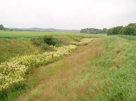 Den är med biflöden ca 8 km lång rinner genom en öppen och frodig dalgång innan den går under