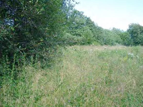 Tillgång till ståndplatser (0 3): 3 Närområde (1 30 m): Öppen igenväxande mark 3, hävdad öppen mark, lövskog och åker 2, väg och tomtmark 1 Dominerande trädslag: Al Omgivning: Öppen hävdad mark 3,