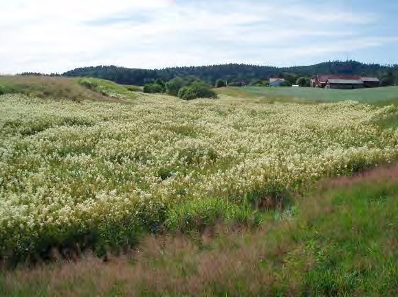 Medelbredd: 0,55 m Maxdjup: 0,31 m Medeldjup: 0,05 m Dominerande substrat: Mjäla/ler 3, sand 2, grus 2, block 1 Strömförhållande: Svagt strömmande Flöde: 1, LQ Bäckstruktur: Ringlande Dominerande