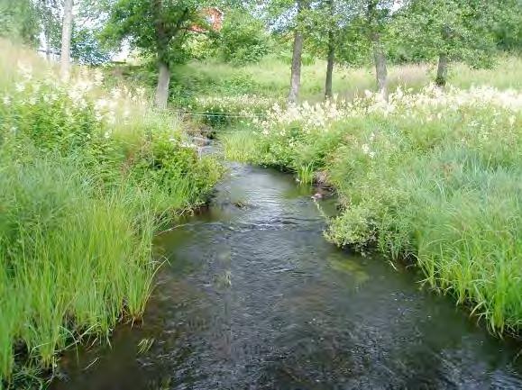 Maxbredd: 4,5 m Medelbredd: 3,1 m Maxdjup: 0,35 m Medeldjup: 0,15 m Dominerande substrat: Grus 3, sten 2, block 2 Strömförhållande: Strömmande 3, forsande 2 Flöde: 2, LMQ Bäckstruktur: Ringlande