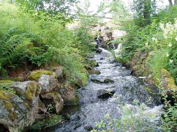 Tillgång till ståndplatser (0 3): 2 Närområde (1 30 m): Lövskog 3, igenväxande öppen mark 2, öppen hävdad mark 1 Dominerande trädslag: Al Omgivning: Öppen hävdad mark 3, lövskog 2, igenväxande öppen