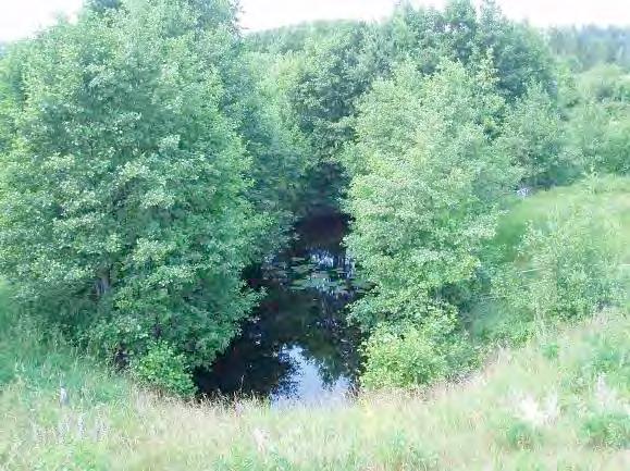 (0 3): Rotade och/eller amfibiska övervattenväxter 1, undervattenväxter med fingrenade blad 1, undervattenväxter med hela blad 1, flytbladsväxter med hela blad 1 Skuggning (0 3): 2 Dödved (0 3): 2