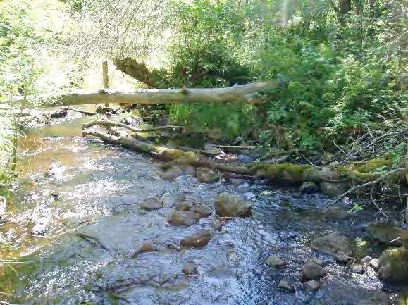 Påverkan (0 3): 0 Strukturelement: Vandringshinder H23 Forsar och fall, ravin, blockrik sträcka Beskrivning: Spektakulär och brant forsande sträcka med kvill och en urskogsliknande omgivning.