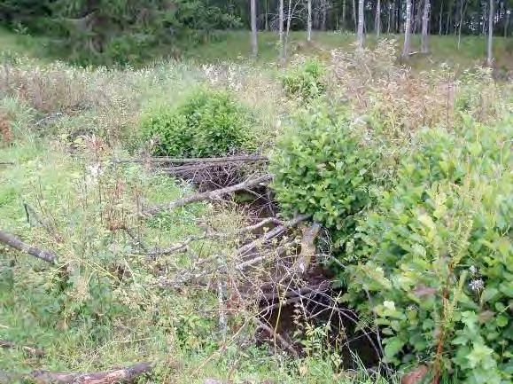 hävdad mark 3, Åker 2, lövskog 2, artificiellt 1 Strukturelement: Meandring i åkerlandskapet, järnvägsövergång B32, täckdike D43 Beskrivning: Sträckan meandrar med klart och något gråtonat vatten.