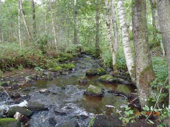 Strukturelement: Blockrik sträcka, brant, meandrande i odlingslandskapet. Diken D64 Beskrivning: Närområdet är brant vildvuxet med lövskog. Bäcken meandrar i odlingslandskapet.