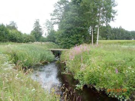 Maxdjup: 1,0 m Medeldjup: 0,5 m Dominerande substrat: Mjäla/ler 3, sand 2, grus 2, sten 2, block 2 Strömförhållande: Strömmande 3 Flöde: 3, HQ Bäckstruktur: Ringlande Dominerande vattenvegetation (0