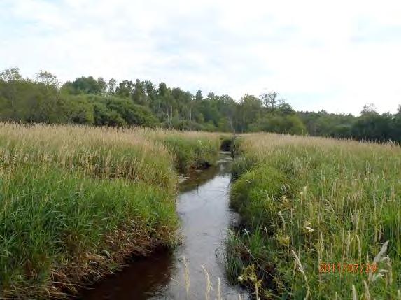 Strukturelement: Meandrande i våtmarkslandskapet, diken D91, D92, D93, D94, D95, D96, D97 och D98 Beskrivning: Sträckan meandrar omgiven av våtmark (mad) med vassar och buskvegetation.