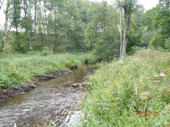 Närområde (1 30 m): Öppen ej hävdad våtmark (mad) 3, lövskog och buskar 2 Dominerande trädslag: Al, salix Omgivning: Öppen mark 3, lövskog 2, artificiellt 1 Strukturelement: Meandrande i