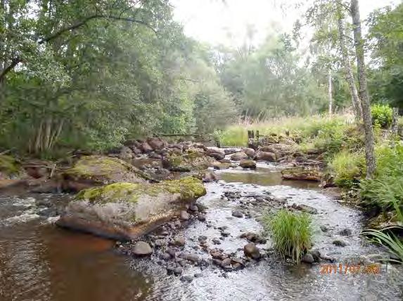 för öring. Sträckan utgör kärnområdet i ån, är nyckelbiotop samt är del av gammal kvarnrest miljö som varit ned lagd sedan mycket lång tid.