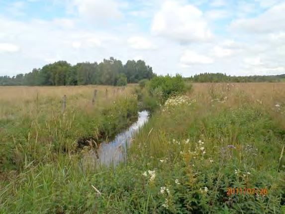 Naturvärdesklass: Klass 4 lägre naturvärde.