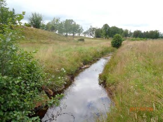 När plåtarna på det partiella vandringshindret nedströms (H30) tas bort ökas också strömningen i vattendraget. En alridå skapas utmed vattendraget. Naturvärdesklass: Klass 3 naturvärde.