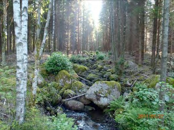 Strömförhållande: Strömmande 3, forsande 2 Flöde: 2, MQ Bäckstruktur: Ringlande Dominerande vattenvegetation (0 3): Övriga påväxtalger 2, trådalger 1, näckmossa 1, kuddliknande mossor 1 Skuggning (0