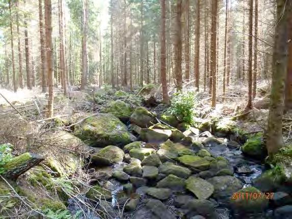 3, blandskog 2 Strukturelement: Blockrik rik strömmande sträcka, vandringshinder H33 Beskrivning: Sträckan består av ett mycket blockrikt parti och utgör nyckelbiotop (blockrik och mycket speciell