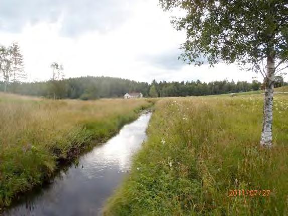 Avsaknaden av lövridå gör att mycket växtlighet i form av nate i finns vattendraget. Nedre bron består av en stor halvtrumma (B70) under asfalterad landsväg.