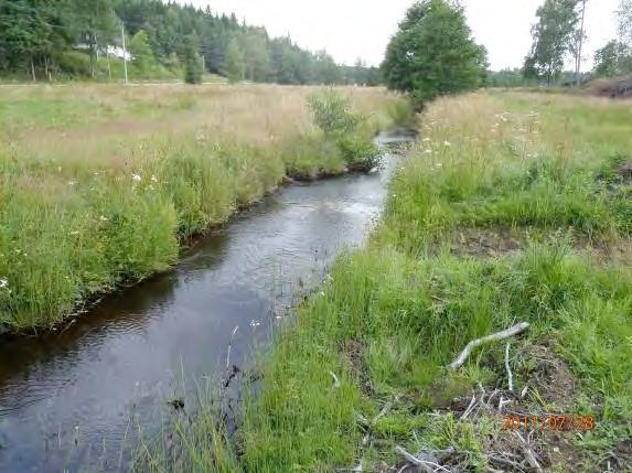 mark 3, barrskog 2, blandskog 2, artificiell mark 1 Påverkan (0 3): 2 Strukturelement: dike D15, D16, D17 och D18 Beskrivning: Sträckan är tidigare rensad och rätad och löper över öppen betes- och