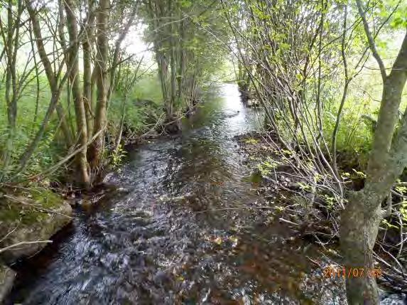 Maxdjup: 0,6 m Medeldjup: 0,15 m Dominerande substrat: Strömförhållande: Strömmande 3, svagt strömmande 2 Flöde: MQ Bäckstruktur: Ringlande Dominerande vattenvegetation (0 3): Flytbladsväxter