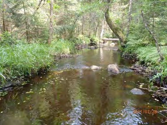 vattenvegetation (0 3): Näckmossa 1, kuddliknande mossor 1, Skuggning (0 3): 3 Dödved (0 3): 2 Lekbiotop (0 3): 2 Uppväxtbiotop (0 3): 2 Tillgång till ståndplatser (0 3): 3 Närområde (1 30 m):