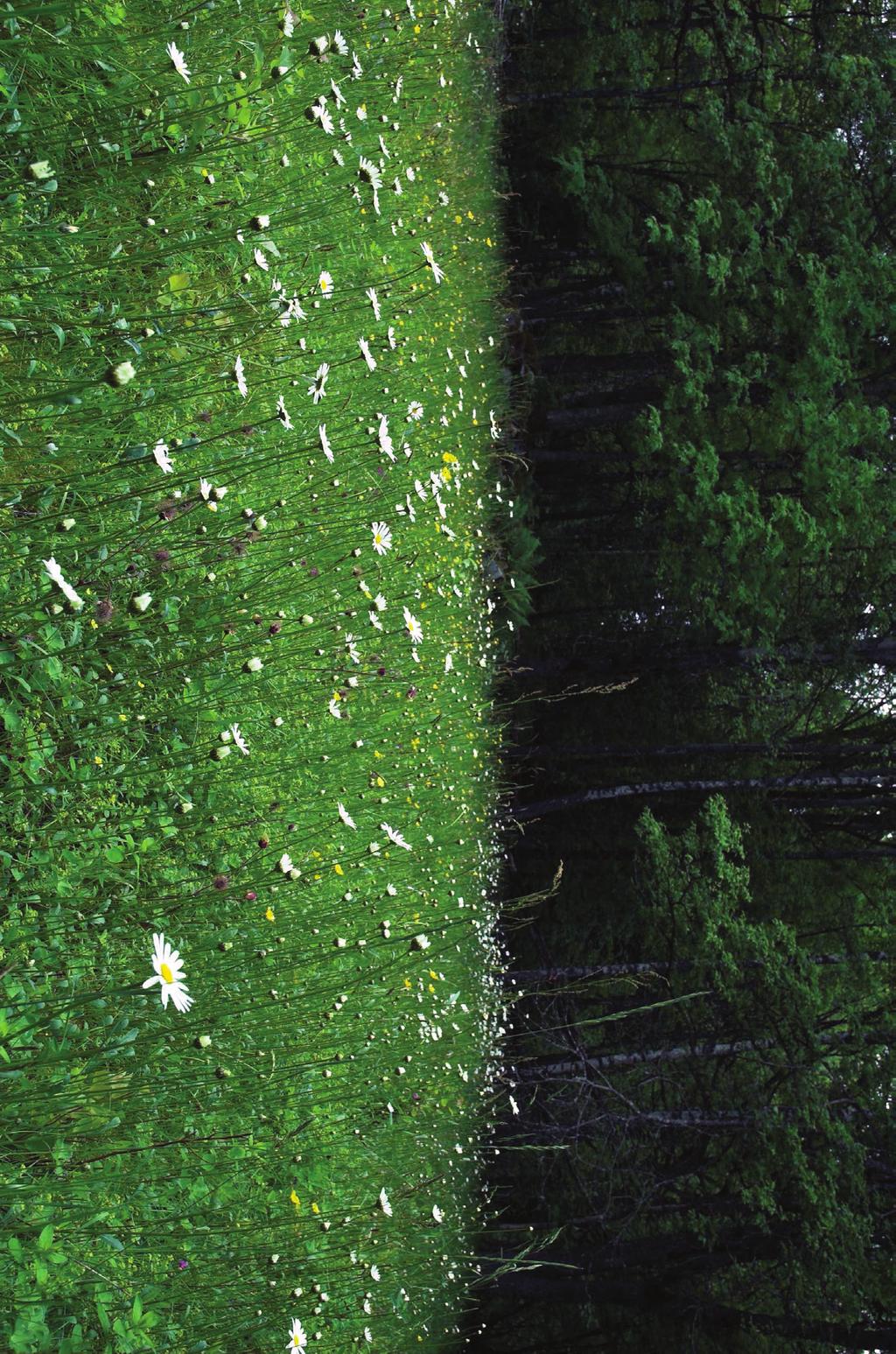 Naturvärden Det äldre odlingslandskapet och det ursprungliga naturlandskapet, med sin stora biologiska mångfald, har i modern tid utarmats.