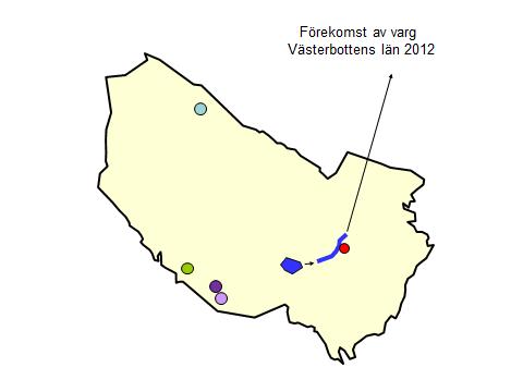 11 Varg Totalt har länsstyrelsen kvalitetssäkrat 27 observationer av varg men oftast har flera observationer kommit från en och samma varg (Bilaga 6).