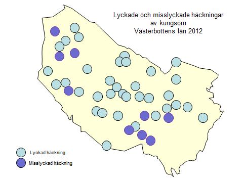 9 Kungsörn Totalt konstaterades 44 påbörjade häckningar varav 35 stycken lyckades och 9 stycken misslyckades (Figur 7). De lyckade häckningarna resulterade i sammanlagt 42 födda ungar (Bilaga 5).