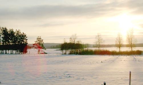 NORRBOTNIABANAN, DELEN UMEÅ - SKELLEFTEÅ SLUTRAPPORT Lokalt kuperat, sjörikt landskap upp mot Skellefteå Från Vebomark och norrut mot Skellefteå flygplats består landskapet av flack skogsmark med