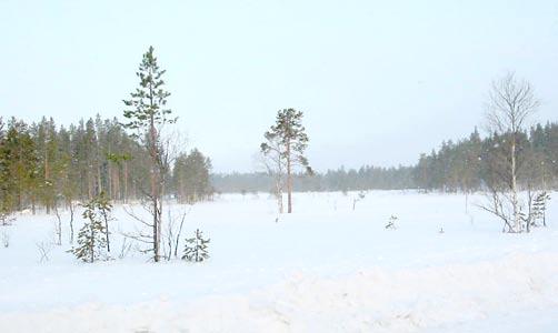 Stor omsorg bör läggas vid att finna naturliga lägen nära befintliga gränszoner i landskapet. De större skogsområdena är minst känsliga för en järnvägsdragning då påverkan enbart syns lokalt.