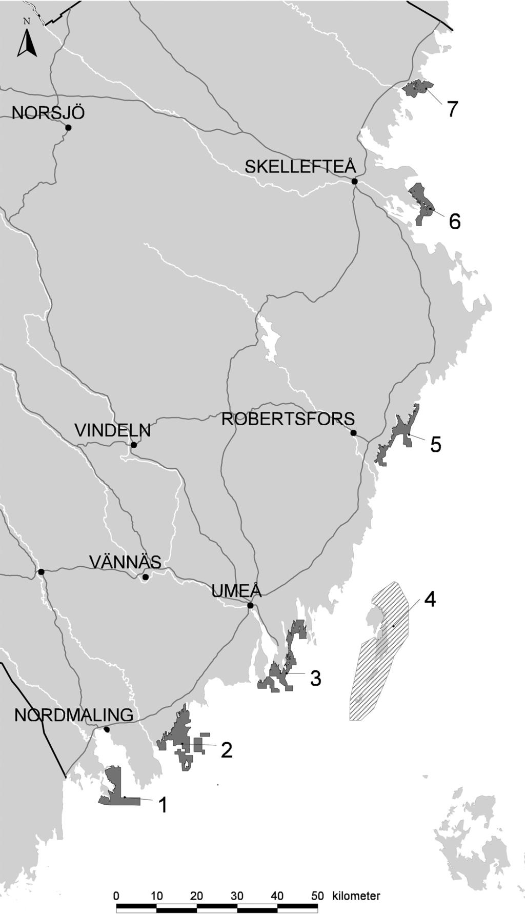 grågäss och måsfåglar. Ön Flakaromsgrönnan är mycket fågelrik med bl.a. en dvärgmås- och skrattmåskoloni. Vitkindad gås häckade på Spärringsgrönnan. Bland ansvarsarterna finns bl.a. tre silltrut- och två små tobisgrisslekolonier, skapligt med svärta, roskarl och dvärgmås.