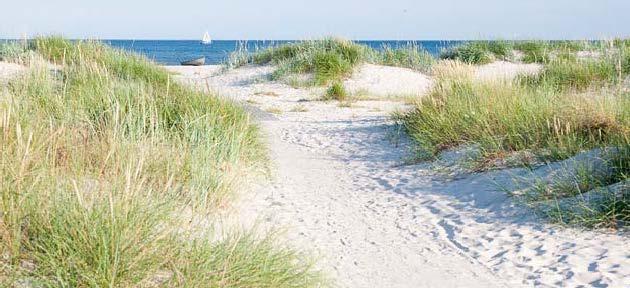 Strandvandring Vandringen bjuder på två alternativ: 1. Denna sträcka är inte tillgänglig för rullstolar.