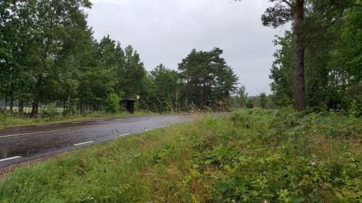 Även om ett ökat permanentboende medför att till exempel barn ska gå till skolskjuts, bedöms säkerheten vara tillräckligt god för att gång och cykling kan ske på befintliga bilvägar.