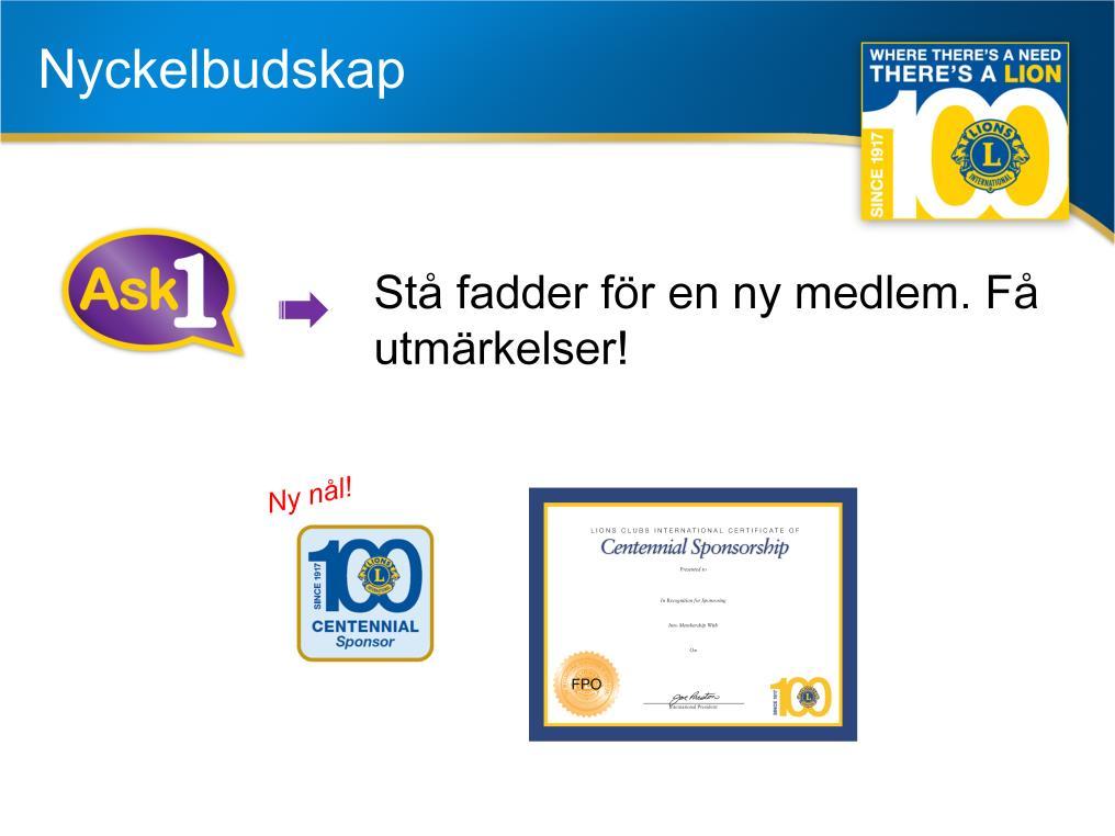 Som vi berättade i början av vår presentation belönar vi lionmedlemmar för att de gör vad de är bäst på hjälpa vår organisation